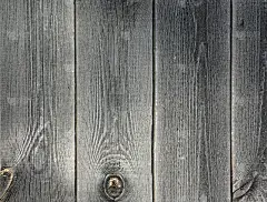 破旧的背景天然木材灰色。