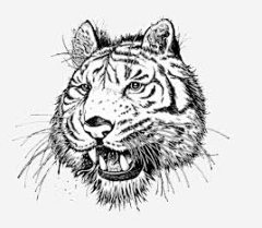 手绘老虎免抠素材 创意素材 png素材