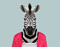 Zebra---Equus-Quagga-copia