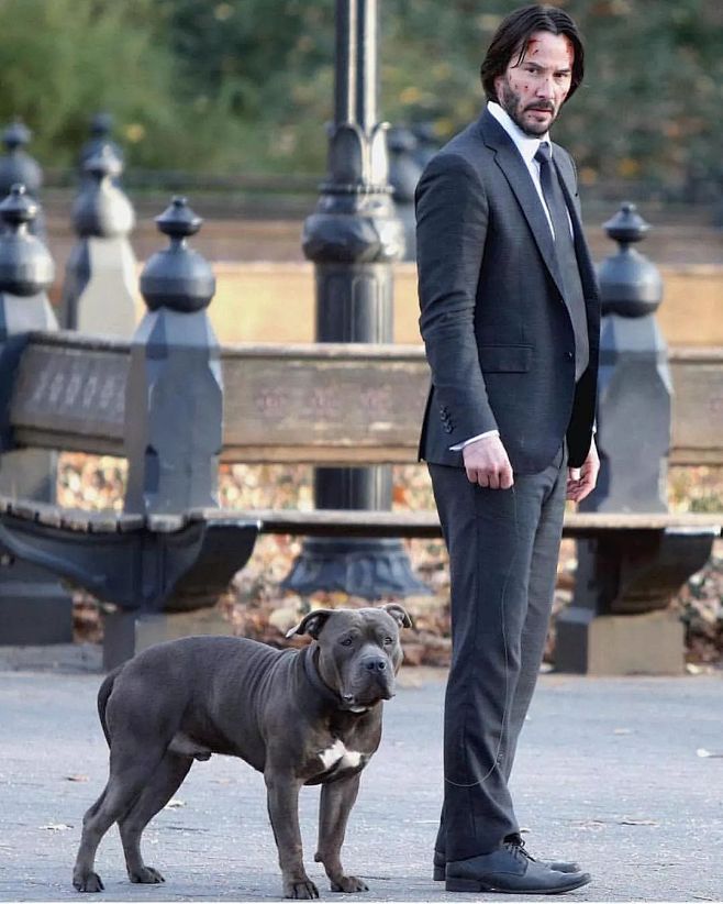 John Wick | 极度迷人又极度危...