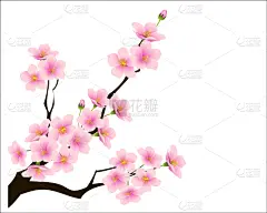 装饰品,华丽的,请柬,浪漫,壁纸,婚礼,模板,自然美,花,问候