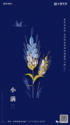 RicherTaozi采集到节气/节日