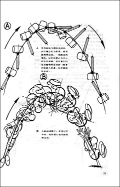 努力画画的燕白采集到动画规律