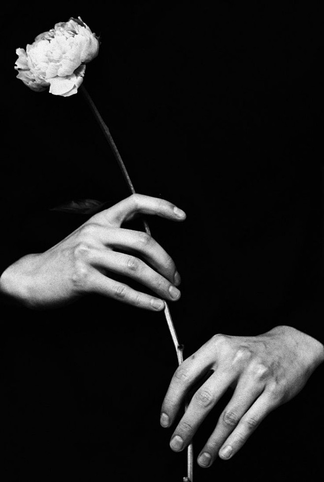 手与鲜花的唯美小清新图片