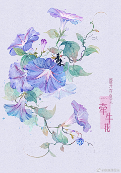 没有吃的采集到古风小物