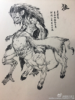 木槿·子不语采集到02