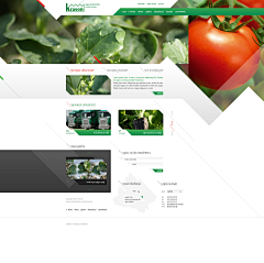 lliiyan采集到web design