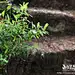 烟雨丹霞山：我与春天有个约会, 七月娃娃旅游攻略