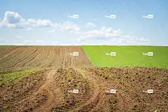 农业 原野 粮食 高清壁纸 景观 天空背景 Mac壁纸 地面