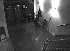 独孤的嘤嘤嘤采集到GIF