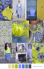 PERIWINKLE LIME by Pattern Curator (SS20)