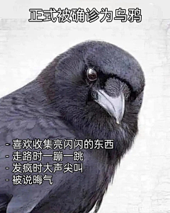 鼠鼠山采集到兽化/福瑞furry