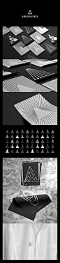Arcadia Data on Behance: 