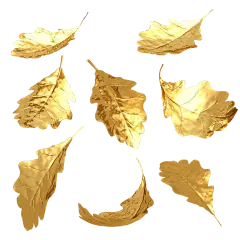 金叶子 金色 叶子 PNG