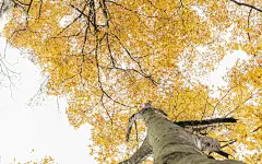 初秋优美自然风景高清图片桌面壁纸