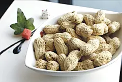 【花生】
　　花生是一种高蛋白的油料作物，自古享有“长生果”的美誉。《本草纲目》记载，“花生悦脾和胃、润肺化痰、滋养补气、清咽止痒”，适合脾虚消瘦、食少乏力、干咳少痰等人。值得注意的是，花生红衣(即花生皮)补气止血的作用更强，因此，需要补血的人可挑选红衣更多的小粒花生，而煮粥、打花生浆则可以挑选大粒的花生。此外，醋泡花生仁、用生花生壳煮水喝，还有一定的降压效果。