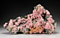 Rhodochrosite with Quartz, Sphalerite, & Chalcopyrite from Bulgaria