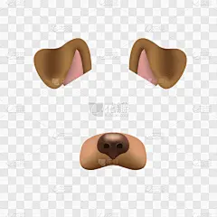 分离着色,狗,格子图案,可爱的,宠物,肖像,图像,模板,建筑业,性格