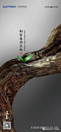 立春