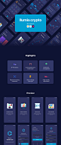 Ilumia Crypto Mobile App : Ilumia Crypto is new template created for crypto & bitcoin mobile app, crypto currency exchange and numbers of ui cards to fit on your crypto projects.It the Bitcoin, ICO & cryptocurrency portfolio tracker. In this proje