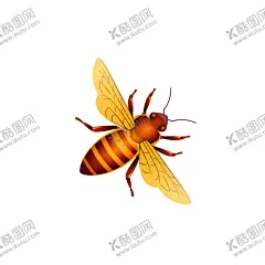蜜蜂昆虫插画图片 【酷图网】手绘蜜蜂,手绘卡通蜜蜂,卡通蜜蜂,可爱蜜蜂,手绘可爱蜜蜂,蜜蜂插画,蜂蜜插画,卡爱,插画,卡通插画,蜂蜜包装,包装,设计