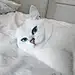 美研儿