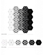 Minimal Surface: