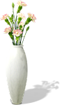 康乃馨花束 花瓶