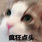 熬夜赶制绝美财彩子！！@招财小淑芬 @招财... 来自QKQKQKQKQKQKQKQKQ - 微博