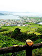 图片、济州岛、韩国、风景、绿