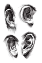 素描耳朵 (31)