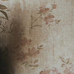 南方葵采集到第一眼，就喜欢