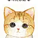 CHLOEchoichoi