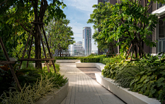 不加班的阿熊采集到屋顶花园