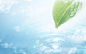 green nature leaf summer water drops dreamy - Wallpaper (#1089539) / Wallbase.cc