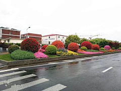 云之凡采集到市政道路