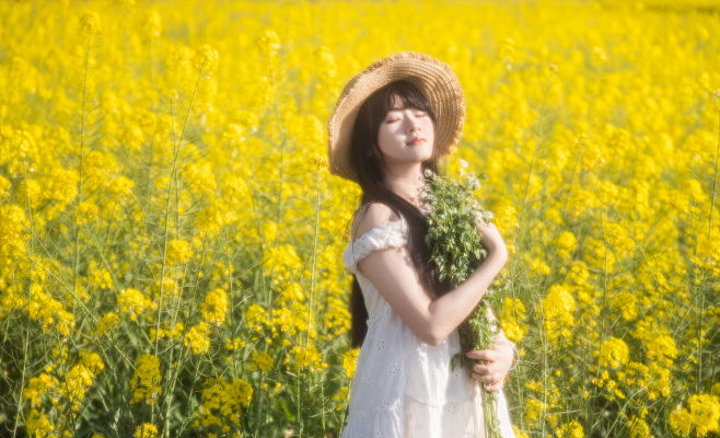 油菜花 油菜花田 故事里的小黄花