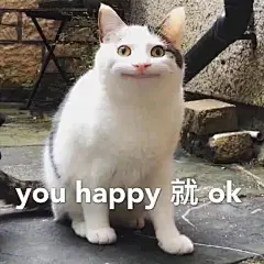 猫猫表情包｜胖罐子胖摔_13