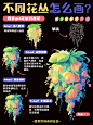 插画教程丨4步画出绝美花丛（有笔刷