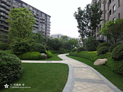 茉莉venom采集到Landscape ︱景观植物组团