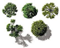 Google Afbeeldingen resultaat voor http://www.doschdesign.com/images2/VI-BE-Trees.jpg