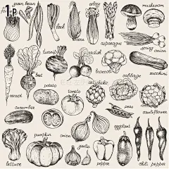 【A2095】eps矢量黑白线条手绘蔬菜土豆胡萝卜玉米轻食菜谱素材-淘宝网
