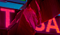 Palms on acid : Neon Plants
