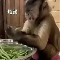 大家有没有弱智表情包啊 - 小红书