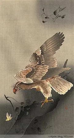 小原古邨（日本）绘画作品 