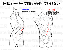 木槿海棠采集到1