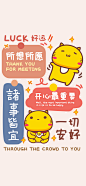 哈咪猫各种正能量手机壁纸