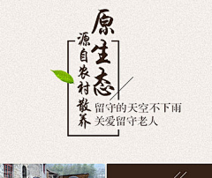 你好啊e采集到Z-字体排版、主标题
