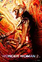 神奇女侠1984
正义联盟
DCEU
动态海报
艺术海报
电影海报