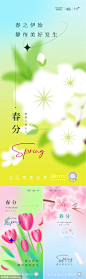  春分清明谷雨节气海报 - 源文件